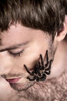 Portrait of a Young Handsome Man with Big Spider on His Face