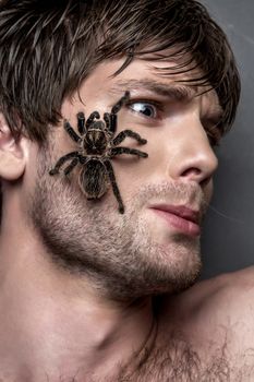 Portrait of a Young Handsome Man with Big Spider on His Face