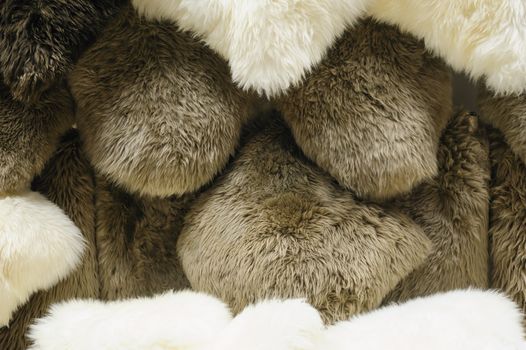 texture of white and grey fur animals and place for text