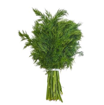 Bunch of fresh green dill, tied rope on a light background. Isolation.