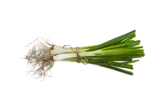 Bundle of green onion with roots and tied by twine on a light background. Isolation.
