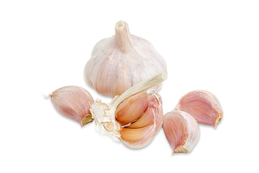 Garlic bulb and a few garlic cloves on a light background closeup
