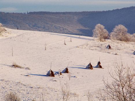 Winter panorama of mountains on a sunny day. Carpathians, Ukraine