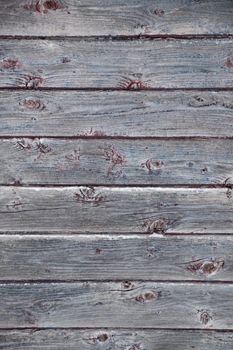 Background portrait oriented image of 8 grunge peeled silver grey weathered barn boards with remannts of red and blue paint.  Small ledges of snow on this outdoor image.