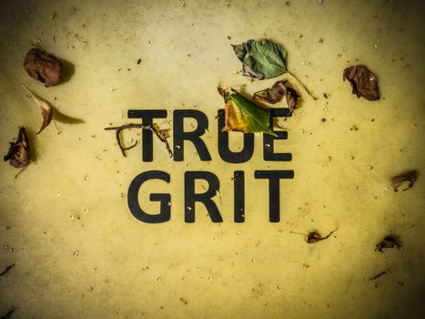 Conceptual Image Of True Grit Written On A Grit Bin