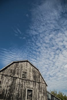 An abstract wide angle of a traditional old ontario gambrel roof barn, that was black and is weathered and the boards lit up by sunshine. Sky is a deep blue with interesting cloudscapes of cirrus clouds as a background.