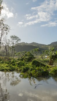 Vertical lanscape of mountains and mangrove swamp reflecting blue sky and clouds in Dominican Republic. Taken early morning, there is mist in the mountains and lush greenery.