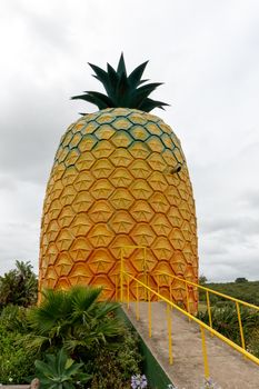 The largest artificial pineapple in the world can be found in the town of Bathurst, in the Eastern Cape (some 55km from Grahamstown). It’s the locals way of paying homage to this prickly fruit that grows so well in the area, and tourists just love the idea of climbing inside an enormous pineapple.