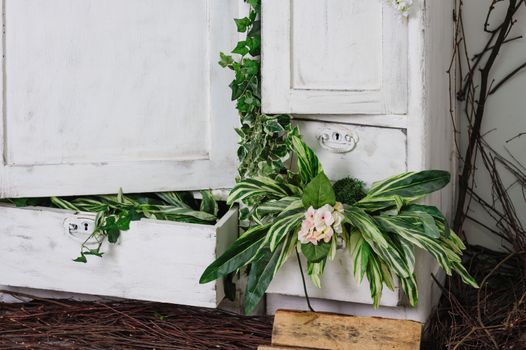 White wardrobe and Cabinet box plants for decor design.