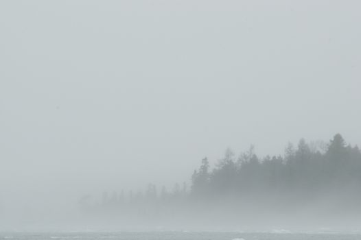 A grey and white background with almast all fog with a few faint tree silhouettes showing