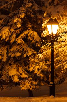 Street lantern and fir tree under the snow