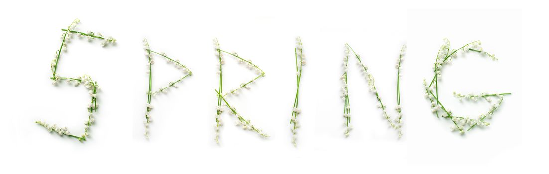 word Spring with lily flowers on white background.
