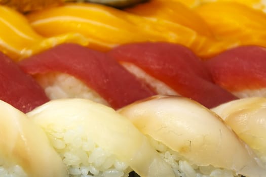 fresh sushi dinner with rice and fish