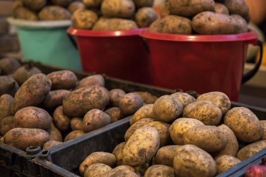 Fresh potato at marketplace, closeup