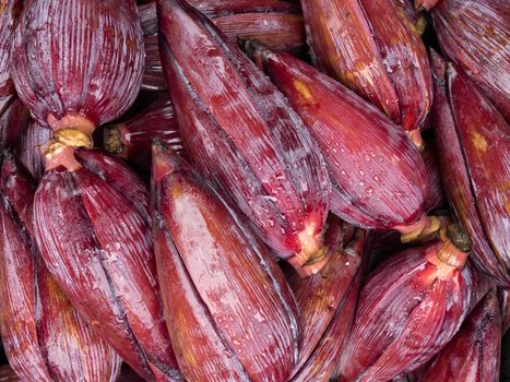 close up of banana flower food background