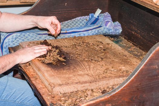 Traditional manufacture of cigars in an old tobacco factory in Havana in Cuba.