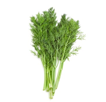 Bundle of fresh green dill on a light background
