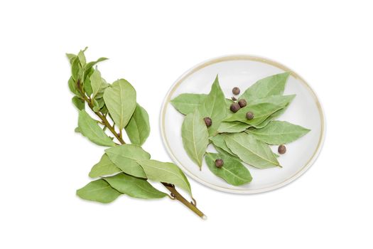 Dried branch of a bay laurel and several dried bay leaves and several allspice on a saucer on a light background

