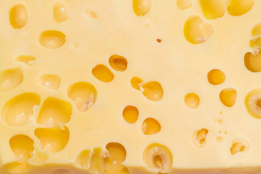 Texture of the medium-hard Swiss cheese with large cheese's eyes closeup
