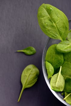 Fresh spinach leaves on ardezie table