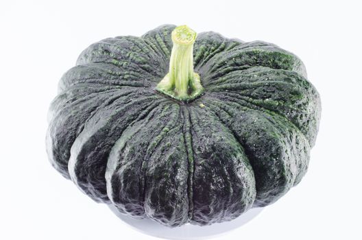 green pumpkin  on White background