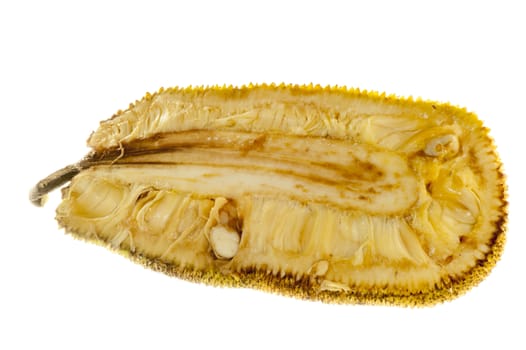 internal jackfruit pulp and seeds on white background