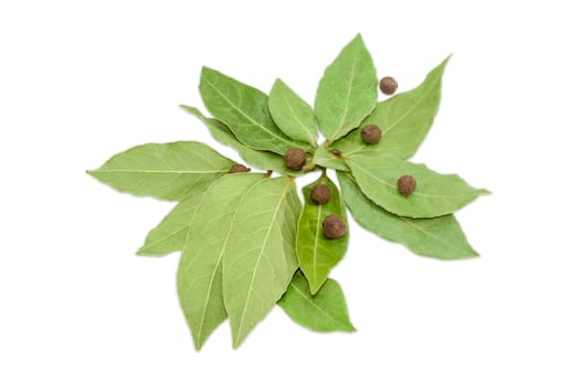 Pile of dried bay leaf and several peas of allspice on a light background
