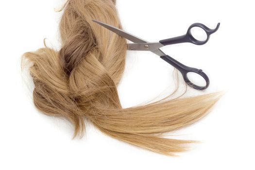 Hairdressers scissors against the backdrop of strand of female hair on a light background. 
