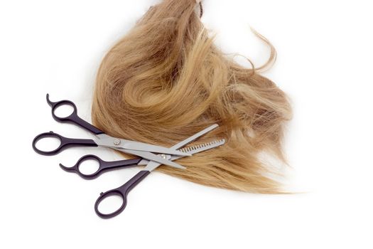 Normal hairdressers scissors and  thinning shears against the backdrop of strand of female hair on a light background. 

