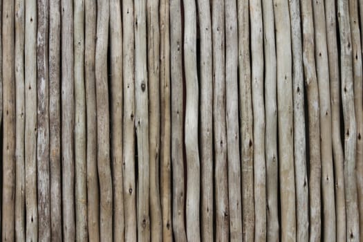 bamboo cane background texture copy space 