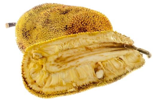 a jackfruit tropical fruit on  a white background
