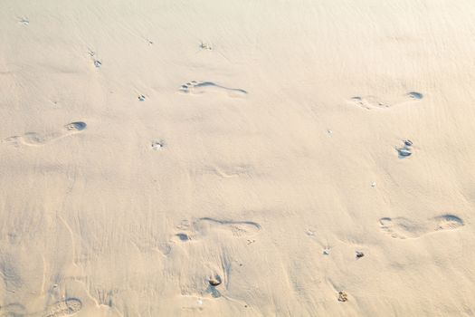 human footprints in sand on the beach