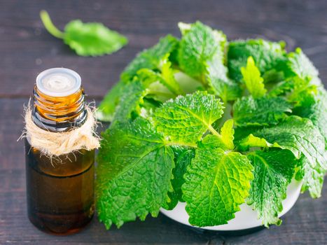 Essential oil of melissa or mint in small brown bottle with fresh green leaves on dark wooden background. Close up
