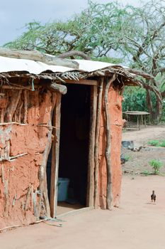 Traditional house of masai in earth and wood in a village of Kenya