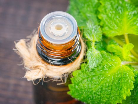 Essential oil of melissa or mint in small brown bottle with fresh green leaves on dark wooden background. Close up