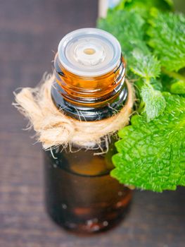 Essential oil of melissa or mint in small brown bottle with fresh green leaves on dark wooden background. Close up