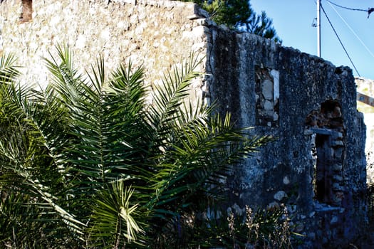 Stone walls of abandoned house in Denia. Palms and trees growing inside the structure