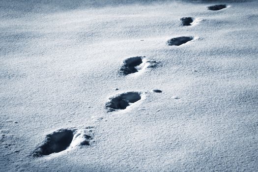 seasonal background dark footprints walking on snow