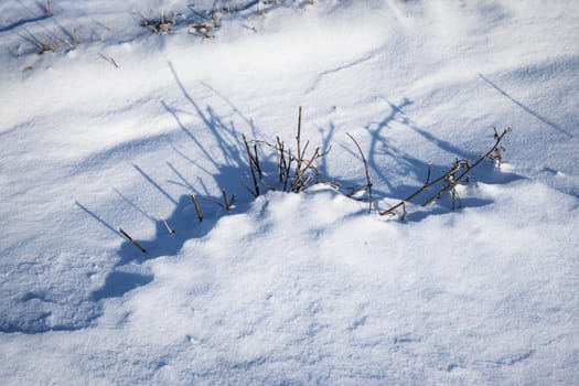 abstract seasonal background shadow in the snow a tussock