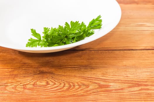 Background of fragment of a white dish with bunch of fresh green parsley closeup on an old wooden surface
