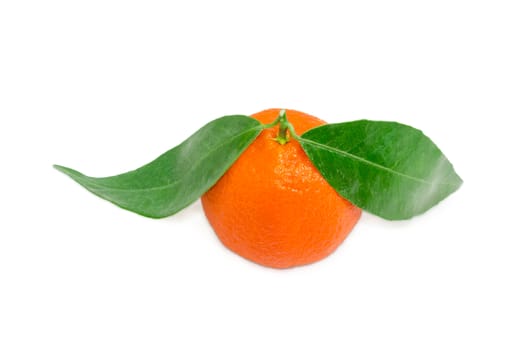One fresh ripe mandarin orange with small twig and two leaves on a light background
