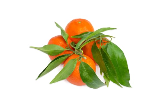 Several fresh ripe mandarin oranges with twigs and leaves on a light background
