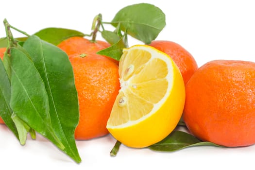 Part of a fresh lemon among several ripe mandarin oranges with twigs and leaves on a light background
