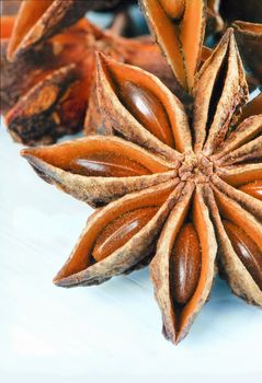 star anise on blue background close up with copy space