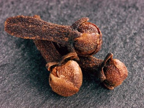 Cloves spice on gray slate background. Extreme close up.