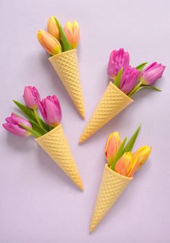 Concept with tulips in wafer ice cream cone