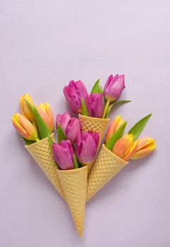Concept with tulips in wafer ice cream cone