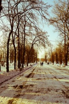 beautiful winter landscape in the Park in the city