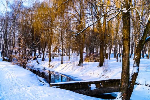 beautiful winter landscape in the Park river bridge