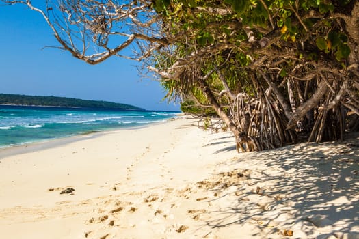 View of Jaco Island, a natural reserve aprk in East Timor, South East Asia